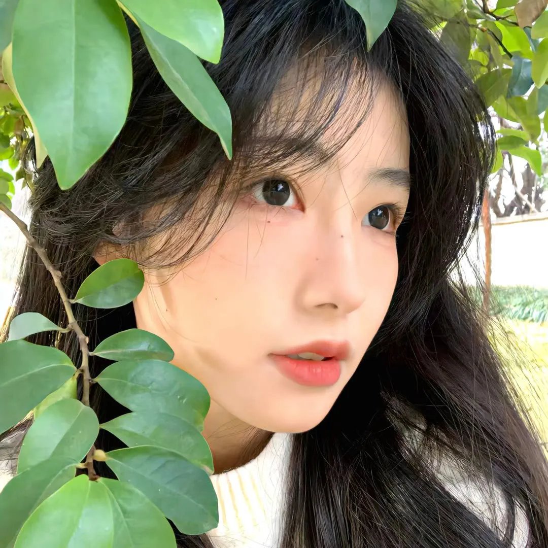 玉碎 在线观看